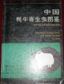 (image for) Illustrated Handbook of Chinese Yak Parasites