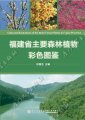 (image for) Coloured Illustrations of the Main Forest Plants in Fujian Province