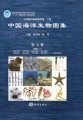 (image for) An Illustrated Guide To Species in China’s Seas (Vol.7) Animalia (5) -- Animalia (5) : Bryozoa Entoprota Brachiopoda Phoronida
