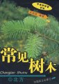 (image for) Common Trees of Northern China (Bei Fan Chang Jian Shu Mu)