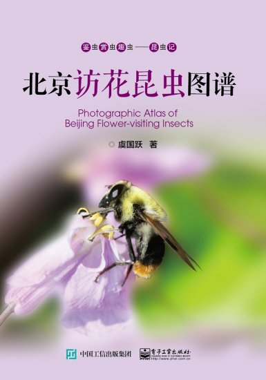 (image for) Photographic Altals of Beijing Flower-visiting Insects - Click Image to Close