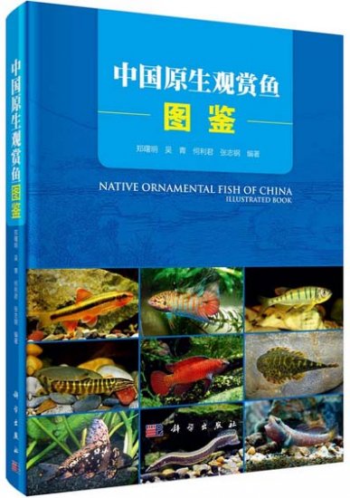 (image for) Native Ornamental Fish of China -Illustrated Book - Click Image to Close