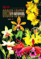(image for) A Flora Market Guide for Orchid Lovers