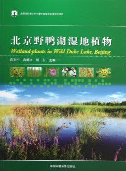 (image for) Wetland Plants in Wild Duke Lake, Beijing - Click Image to Close