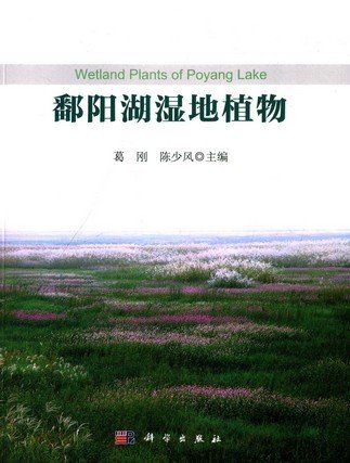 (image for) Wetland Plants of Poyang Lake - Click Image to Close