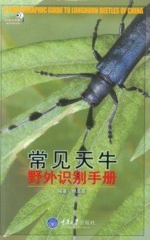 (image for) A Photographic Guide to Longhorn Beetles of China - Click Image to Close