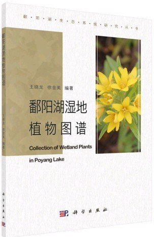 (image for) Collection of Wetland Plants in Poyang Lake - Click Image to Close