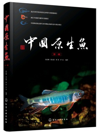 (image for) Native Fish of China (Vol.1) - Click Image to Close