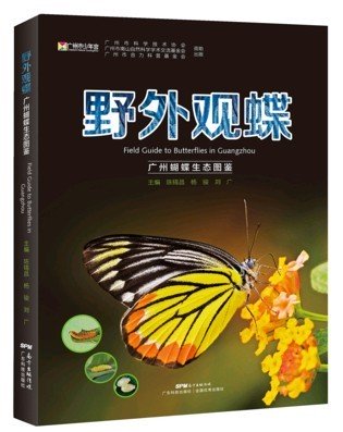 (image for) Field Guide to Butterflies in Guangzhou - Click Image to Close
