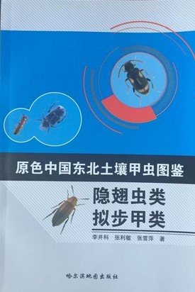 (image for) Primary Color Illustration of Soil Beetles in Northeast China-Staphylinidae and Tenebrionoidea - Click Image to Close