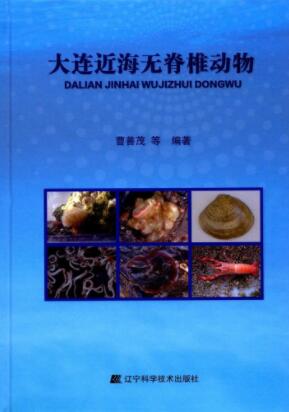 (image for) Offshore Invertebrates of Dalian - Click Image to Close