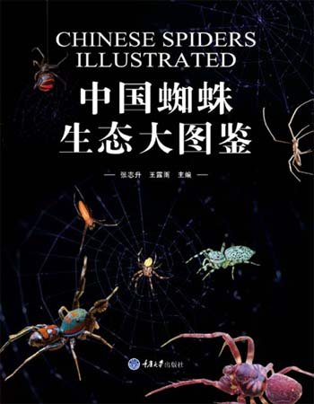 (image for) Chinese Spiders Illustrated - Click Image to Close