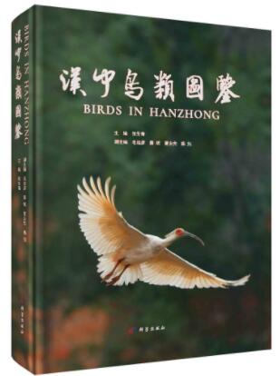 (image for) Birds in Hanzhong - Click Image to Close