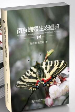 (image for) An Ecological Illustrated Handbook of Butterflies in Nanjing - Click Image to Close