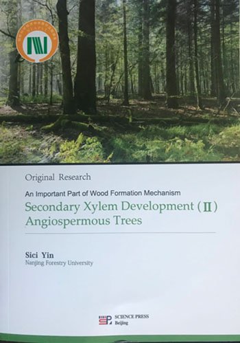 (image for) An Important Part of Wood Formation Mechanism -Secondary Xylem Development(II) - Angiospermous Trees - Click Image to Close