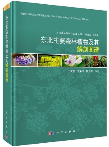 (image for) Atlas of Forest Plants and Anatomy of Northeast China - Click Image to Close