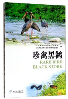 (image for) Rare Birdplack Stork - Click Image to Close