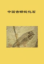 (image for) The Fossils of Dragonflies and Damselflies of China - Click Image to Close