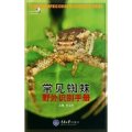 (image for) A Photographic Guide to Spiders of China