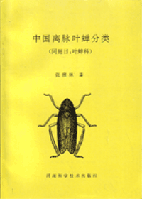 (image for) A Taxonomic Study of Chinese Coelidiinae (Homoptera: Cicadellidae) - Click Image to Close