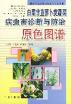 (image for) Original Color Atlas of Diagnosis and Control for Pests and Diseases of Chinese Cabbage and Carrot Vegetables