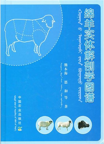 (image for) Atlas of Sheep Entity Anatomy (mianyang shiti jiepouxue tupu) - Click Image to Close
