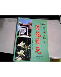 (image for) Biron orchids(BI LONG LAN YUAN) - Click Image to Close