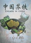(image for) Cycads in China