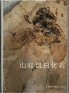 (image for) Fossil Insects From Shanwang, Shandong, China - Click Image to Close