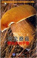 (image for) A Photographic Guide to Mushrooms of China - Click Image to Close