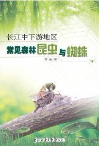 (image for) Common Forest Insects and Spiders in the Middle and Lower Reaches of Yangtze River - Click Image to Close
