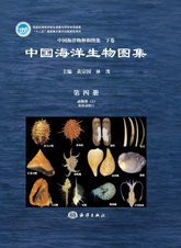 (image for) An Illustrated Guide To Species in China’s Seas (Vol.4)- Animalia (2) Mollusca - Click Image to Close