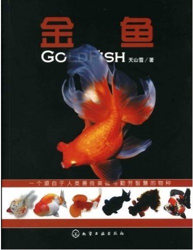 (image for) Gold Fish - Click Image to Close