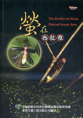 (image for) The Fire Flies in Silaya National Scenic Area - Click Image to Close