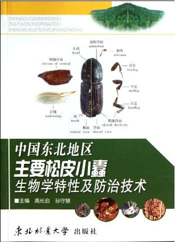 (image for) Biological Characteristics And Prevention Technology of the Main Slack Skin Bark Beetle in the Northeast China - Click Image to Close