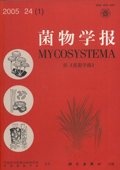 (image for) Mycosystema (Acta Mycologica Sinica)Vol.24 No.1 22February，2005 - Click Image to Close