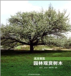 (image for) Common Ornamental trees in the North China - Click Image to Close