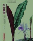 (image for) Botanical Paintings of Chinese Zingiberales - Click Image to Close