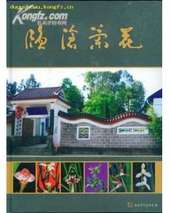 (image for) The Orchids of Lincang(LIN CANG LAN HUA) - Click Image to Close