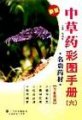 (image for) Atlas of Chinese Herbal Medicine (Vol.6)