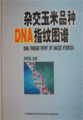 (image for) DNA Finger Print of Maize Hybrids