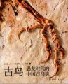 (image for) Fossil Birds- Chinese Fossil Birds from Dinosaur Era