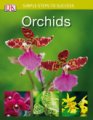 (image for) Orchids - Simple Steps to Success