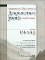(image for) Anatomical Illustration of Acupuncture Points - Study Cards