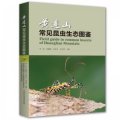 (image for) Field Guide to Common Insects of Hualiangshan Mountain