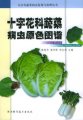(image for) Original Color Atlas of Diseases and Pests of cruciferae vegetables