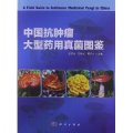 (image for) A Field Guide to Antitumor Medicinal Fungi in China