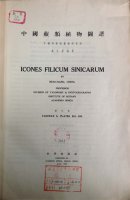 (image for) Icones Filicum Sinicarum- Fascicle 5