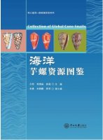 (image for) Collection of Global Cone Snails