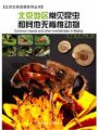 (image for) Common Insects and Other Invertebrates in Beijing